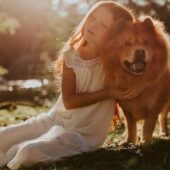 A Golden Retriever wearing a smart health tracker as Pets Are the New Kids trend grows