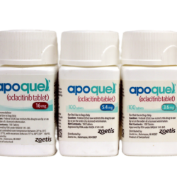 Buy apoquel for dogs at BestPetMed for fast allergy relief.
