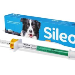 Buy Sileo online dexmedetomidine gel for dogs Best Pet Meds no prescription