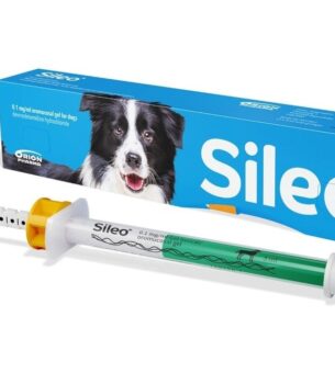 Buy Sileo online dexmedetomidine gel for dogs Best Pet Meds no prescription