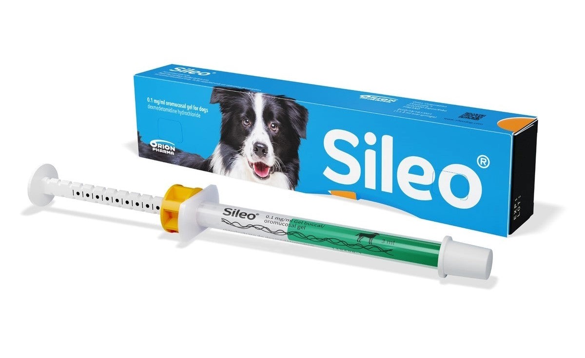 Buy Sileo online dexmedetomidine gel for dogs Best Pet Meds no prescription